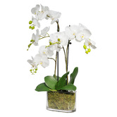 pollen &amp; fauna 60cm Potted Faux Orchid Plant
