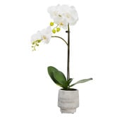 pollen &amp; fauna 52cm Potted Faux Orchid Plant