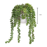pollen &amp; fauna 2 Piece Green Potted Faux Hanging Pearl Plant Set