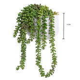pollen &amp; fauna 2 Piece Green Potted Faux Hanging Pearl Plant Set