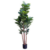 pollen &amp; fauna 180 Potted Faux Fiddle Tree