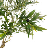 pollen &amp; fauna 213cm Potted Faux Olive Tree
