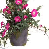 pollen &amp; fauna 78cm Beauty Potted Faux Climbing Morning Glory