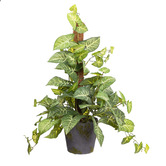 pollen &amp; fauna 73cm Potted Faux Syngonium on Pole