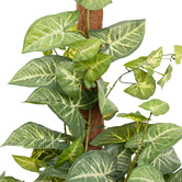 pollen &amp; fauna 73cm Potted Faux Syngonium on Pole