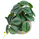 pollen &amp; fauna 17cm Potted Faux Calathea Bush Plant
