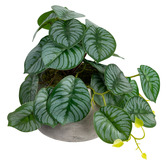 pollen &amp; fauna 17cm Potted Faux Calathea Bush Plant