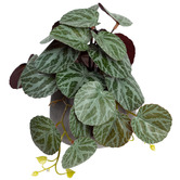 pollen &amp; fauna 17cm Potted Faux Geranium Bush Plant