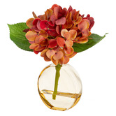 pollen &amp; fauna 19cm Orange Faux Hydrangea in Glass Vase