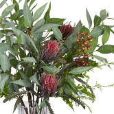 pollen &amp; fauna 82cm Faux Banksia &amp; Eucalyptus Arrangement in Glass Vase