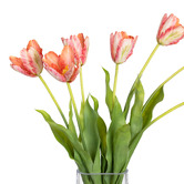 pollen &amp; fauna 56cm Faux Tulip Mixed Arrangement in Glass Vase