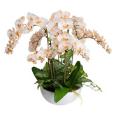 pollen &amp; fauna 78cm Potted Faux Phalaenopsis Orchid