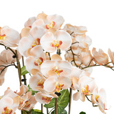 pollen &amp; fauna 78cm Potted Faux Phalaenopsis Orchid