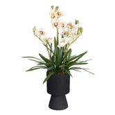pollen &amp; fauna 90cm Cream Potted Faux Cymbidium Flower