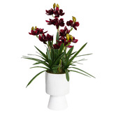 pollen &amp; fauna 90cm Wine Potted Faux Cymbidium Flower
