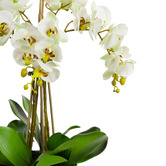 pollen &amp; fauna 45cm Potted Faux Apple Green Phalaenopsis Orchid