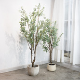 pollen &amp; fauna 180cm Green Potted Faux True Blue Eucalyptus Plant