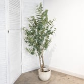 pollen &amp; fauna 180cm Potted Faux True Blue Eucalyptus Plant