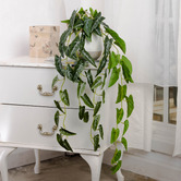 pollen &amp; fauna 105cm Potted Faux Hanging Syngonium Plant