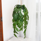 pollen &amp; fauna 113cm Potted Faux Hanging Adason's Monstera Plant