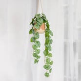 pollen &amp; fauna 105cm Potted Faux Hanging Watermelon Bush
