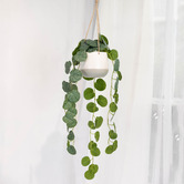 pollen &amp; fauna 105cm Potted Faux Hanging Begonia Plant