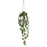 pollen &amp; fauna 105cm Potted Faux Hanging Syngonium Plant