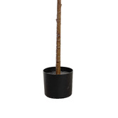 pollen &amp; fauna 132cm Potted Faux Fiddle Leaf Plant