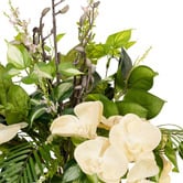 pollen &amp; fauna 76cm Faux Orchid Arrangement with Glass Vase