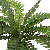 pollen &amp; fauna 2 Piece Potted Faux Boston Fern Set