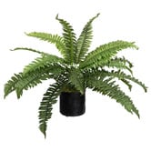 pollen &amp; fauna 2 Piece Potted Faux Boston Fern Set