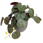 pollen &amp; fauna 17cm Potted Faux Geranium Bush Plant