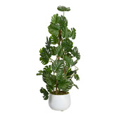 pollen &amp; fauna 62cm Climbing Selloum Philo in Pot