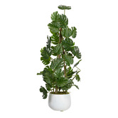 pollen &amp; fauna 62cm Climbing Selloum Philo in Pot