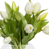 pollen &amp; fauna 29cm White Faux Tulip Arrangement with Glass Vase