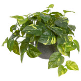 pollen &amp; fauna 32cm Potted Faux Pothos Plant in Ceramic Pot