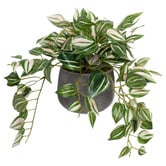 pollen &amp; fauna 32cm Potted Faux Wandering Jew Bush Plant