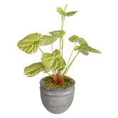 pollen &amp; fauna 20cm Green Potted Faux Begonia Bush Plant