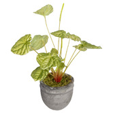 pollen &amp; fauna 20cm Green Potted Faux Begonia Bush Plant