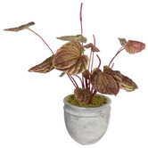 pollen &amp; fauna 20cm Burgundy Potted Faux  Begonia Bush Plant