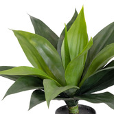 pollen &amp; fauna 34cm Potted Faux Agave Plants