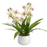 pollen &amp; fauna 43cm Cream Potted Faux Cymbidium Plant