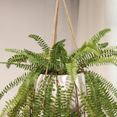 pollen &amp; fauna 94cm Potted Faux Hanging Baker Fern Plant