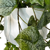 pollen &amp; fauna 100cm Potted Faux Hanging Philo Bush