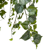 pollen &amp; fauna 100cm Potted Faux Hanging Philo Bush