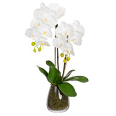 pollen &amp; fauna 62cm Faux Orchid with Vase