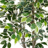 pollen &amp; fauna 183cm Potted Faux Ficus Tree