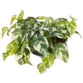 pollen &amp; fauna 18cm Potted Faux Pothos Plant
