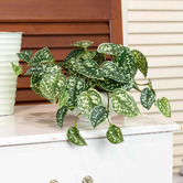 pollen &amp; fauna 18cm Potted Faux Scindapsus Plant