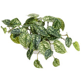 pollen &amp; fauna 18cm Potted Faux Scindapsus Plant